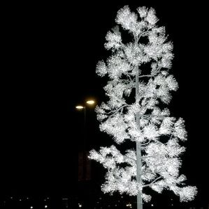 Meet your Posher, Jusith